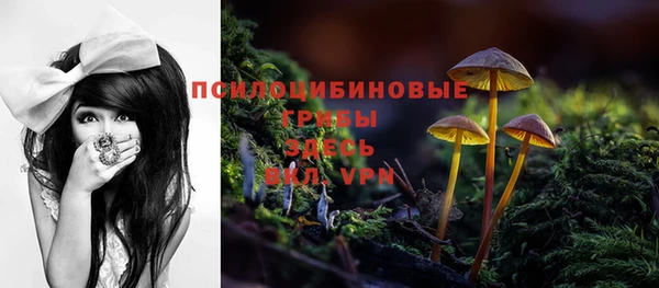 spice Алексеевка