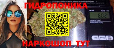прущие крисы Пушкино