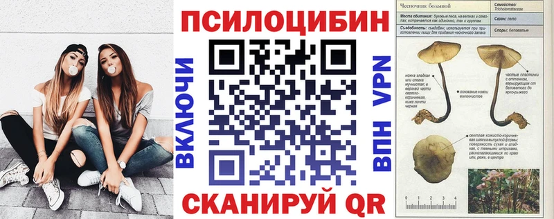 цены   Тында  Галлюциногенные грибы MAGIC MUSHROOMS 