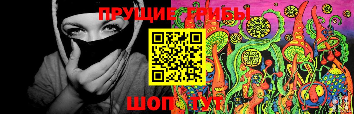 Тында  Галлюциногенные грибы Magic Shrooms  Галлюциногенные грибы MAGIC MUSHROOMS  Вход с VPN 